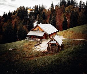 Preview wallpaper house, building, forest, trees, seclusion