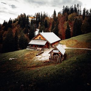 Preview wallpaper house, building, forest, trees, seclusion