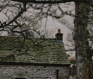 Preview wallpaper house, building, old, tree, hill