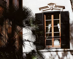 Preview wallpaper house, building, palm, facade, windows