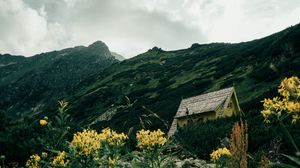 Preview wallpaper house, building, rocks, flowers, grass