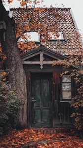 Preview wallpaper house, building, tree, foliage, door