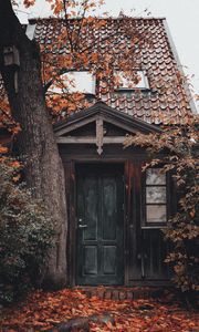 Preview wallpaper house, building, tree, foliage, door