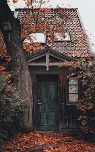 Preview wallpaper house, building, tree, foliage, door