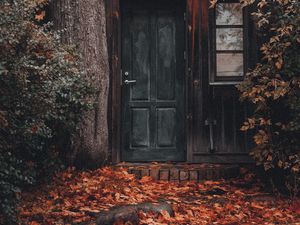 Preview wallpaper house, building, tree, foliage, door