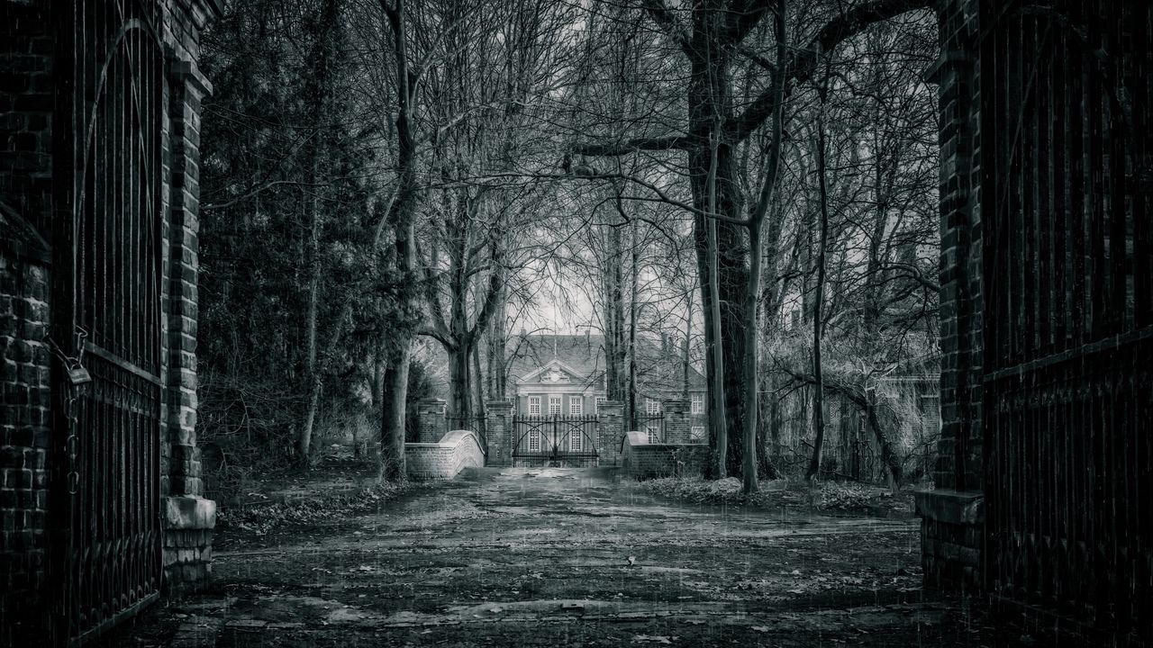 Wallpaper house, bw, rain, branches, fence, gate, mysterious, mystical