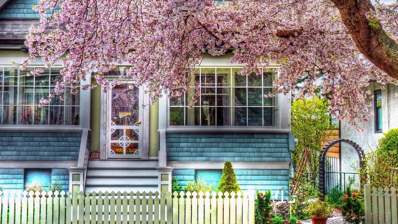 Wallpaper house, fence, spring, tree, flowering, hdr