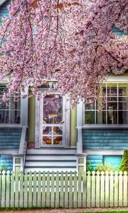 Preview wallpaper house, fence, spring, tree, flowering, hdr