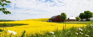 Preview wallpaper house, field, flowers, landscape