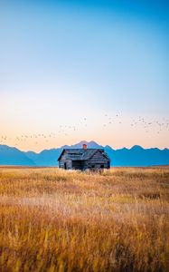 Preview wallpaper house, field, mountains, birds, grass, nature