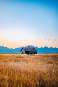 Preview wallpaper house, field, mountains, birds, grass, nature