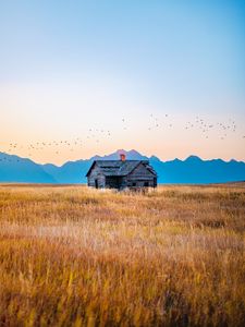 Preview wallpaper house, field, mountains, birds, grass, nature