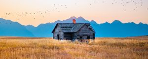 Preview wallpaper house, field, mountains, birds, grass, nature