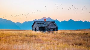 Preview wallpaper house, field, mountains, birds, grass, nature