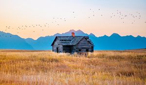 Preview wallpaper house, field, mountains, birds, grass, nature
