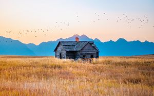 Preview wallpaper house, field, mountains, birds, grass, nature