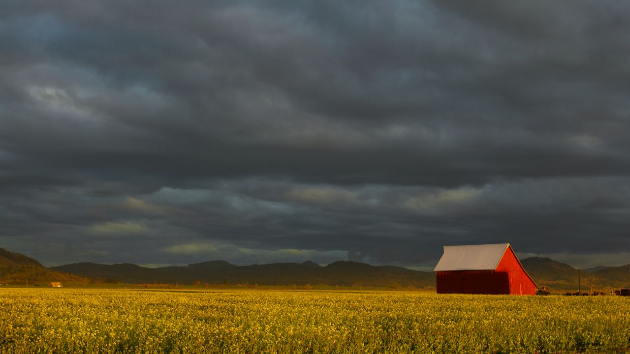 Wallpaper house, field, nature, landscape