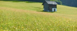 Preview wallpaper house, flowers, field, greens, grass