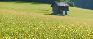 Preview wallpaper house, flowers, field, greens, grass