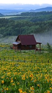 Preview wallpaper house, flowers, field, landscape, nature