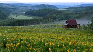 Preview wallpaper house, flowers, field, landscape, nature