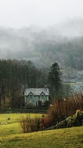 Preview wallpaper house, fog, grass, landscape, village
