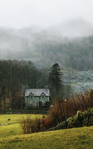 Preview wallpaper house, fog, grass, landscape, village