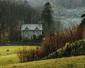 Preview wallpaper house, fog, grass, landscape, village