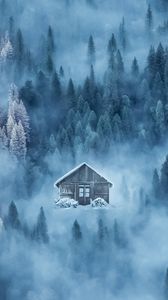 Preview wallpaper house, fog, snow, winter, forest