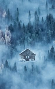 Preview wallpaper house, fog, snow, winter, forest