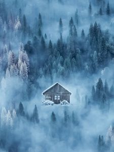 Preview wallpaper house, fog, snow, winter, forest
