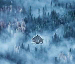 Preview wallpaper house, fog, snow, winter, forest