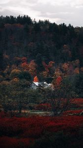 Preview wallpaper house, forest, autumn, nature