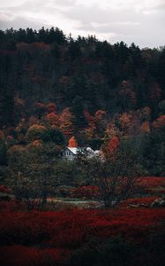 Preview wallpaper house, forest, autumn, nature