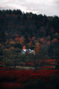 Preview wallpaper house, forest, autumn, nature