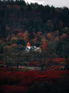 Preview wallpaper house, forest, autumn, nature