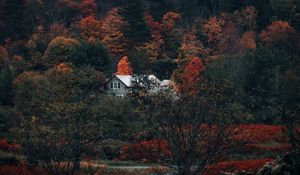 Preview wallpaper house, forest, autumn, nature