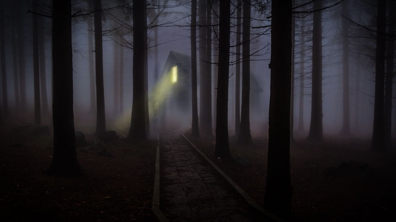 Wallpaper house, forest, fog, creepy, night