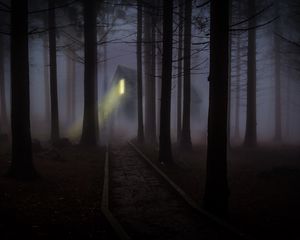 Preview wallpaper house, forest, fog, creepy, night