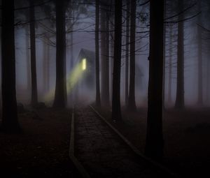 Preview wallpaper house, forest, fog, creepy, night
