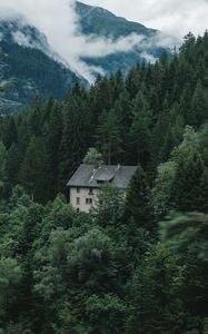 Preview wallpaper house, forest, mountains, trees, nature