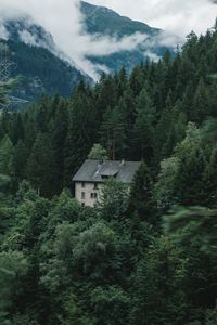 Preview wallpaper house, forest, mountains, trees, nature