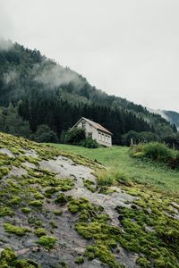 Preview wallpaper house, forest, nature, trees, greenery