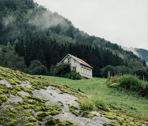 Preview wallpaper house, forest, nature, trees, greenery