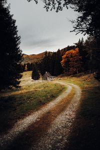 Preview wallpaper house, forest, path, autumn