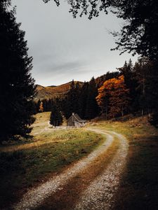 Preview wallpaper house, forest, path, autumn