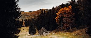Preview wallpaper house, forest, path, autumn