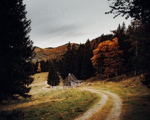 Preview wallpaper house, forest, path, autumn