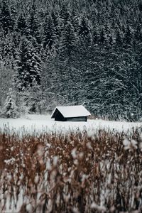 Preview wallpaper house, forest, snow, edge, winter