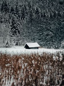 Preview wallpaper house, forest, snow, edge, winter